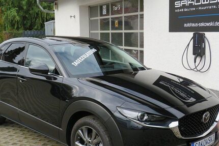Mazda CX-30 1.232 km 29.990 &euro; Schwielowsee OT Geltow 14548