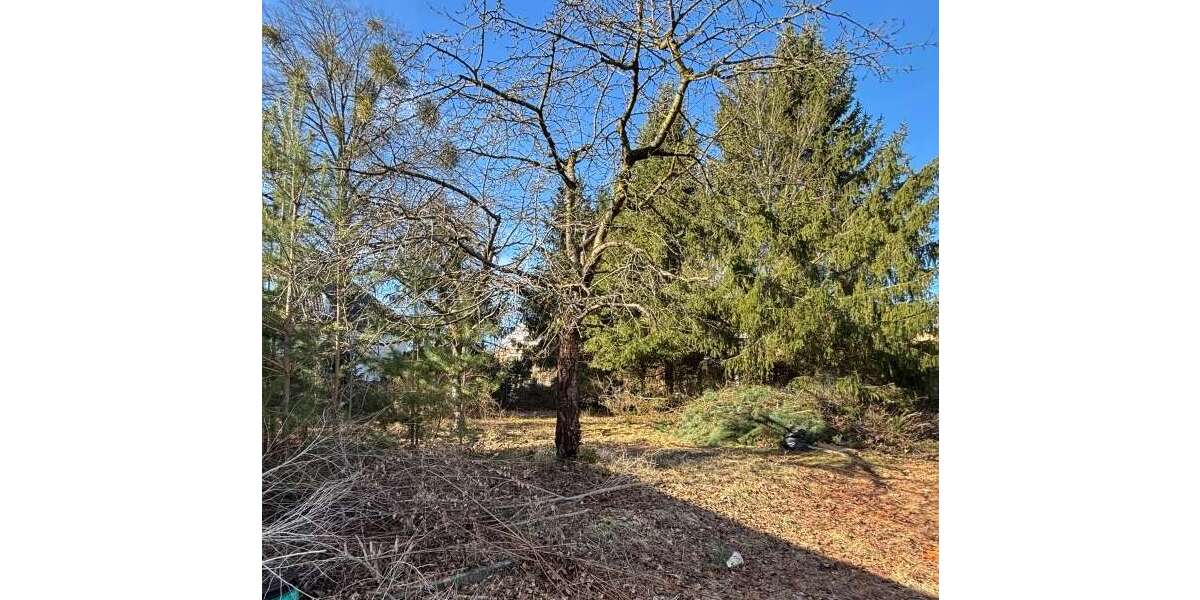 Grundstück Potsdam Krampnitz - 299.400&euro; | Angebot:25300004