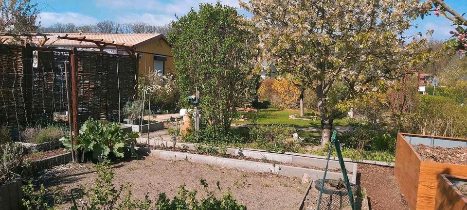 Grundstück Potsdam - 23.850&euro; | Angebot:26606820
