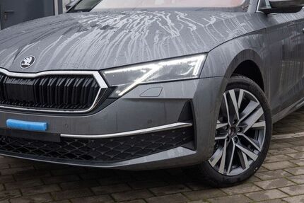 Skoda Octavia 5.000 km 41.175 € Schwielowsee OT Geltow 14548