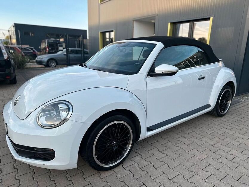 Beetle