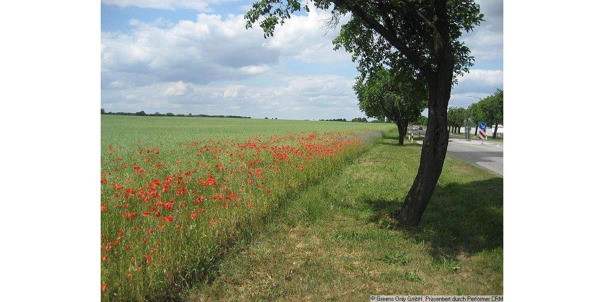 Reihenmittelhaus Dallgow Döberitz OT Seeburg Seeburg - 5 Zimmer, 100 m&sup2;, 447.000&euro; | Angebot:25676368