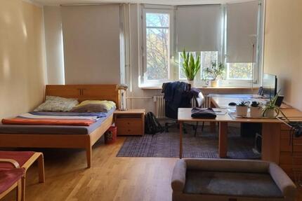 Wohnung Berlin Mitte - 1 Zimmer, 43 m&sup2;, 800&euro; | Angebot:27723546