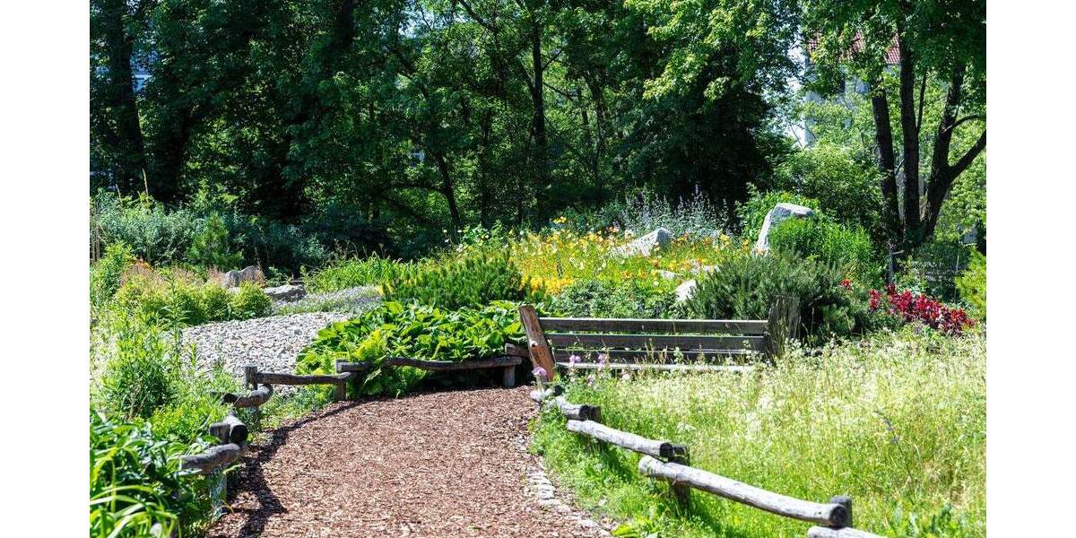 Effizient geplant und helle Wohnung - zentral gelegen mit guter Anbindung 1 zimmer