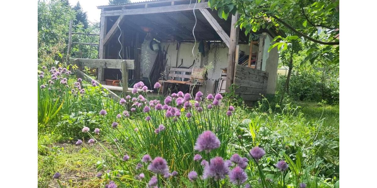 Etagenwohnung Potsdam Berliner Vorstadt - 5 Zimmer, 100 m&sup2;, 800&euro; | Angebot:26088387