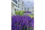 1 Zimmer mit Garten im Erdgeschoss - HAVELUFER Quartier