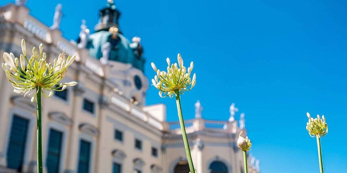 Gewerbeobjekt Berlin Charlottenburg - 5.900.000&euro; | Angebot:26819680