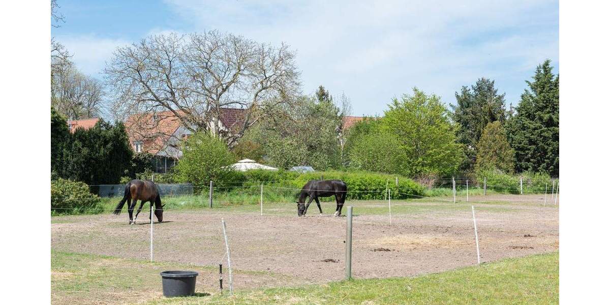 Reihenendhaus Dallgow-Döberitz Dallgow - 4 Zimmer, 117 m&sup2;, 480.000&euro; | Angebot:25098628