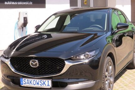 Mazda CX-30 1.232 km 29.990 &euro; Schwielowsee OT Geltow 14548