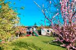 Einfamilienhaus Groß Kreutz (Havel) - 5 Zimmer, 200 m&sup2;, 480.000&euro; | Angebot:26510878