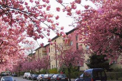 Sonniger Balkon gewünscht? 1 zimmer
