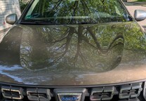 Gebrauchtwagen Dacia Duster