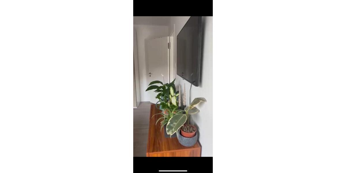 WBS Wohnung 1.5 zimmer