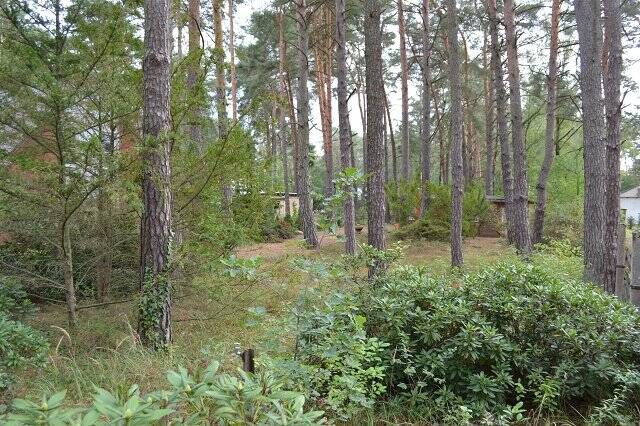 Grundstück Michendorf Niederdorla - 549.000&euro; | Angebot:25700746