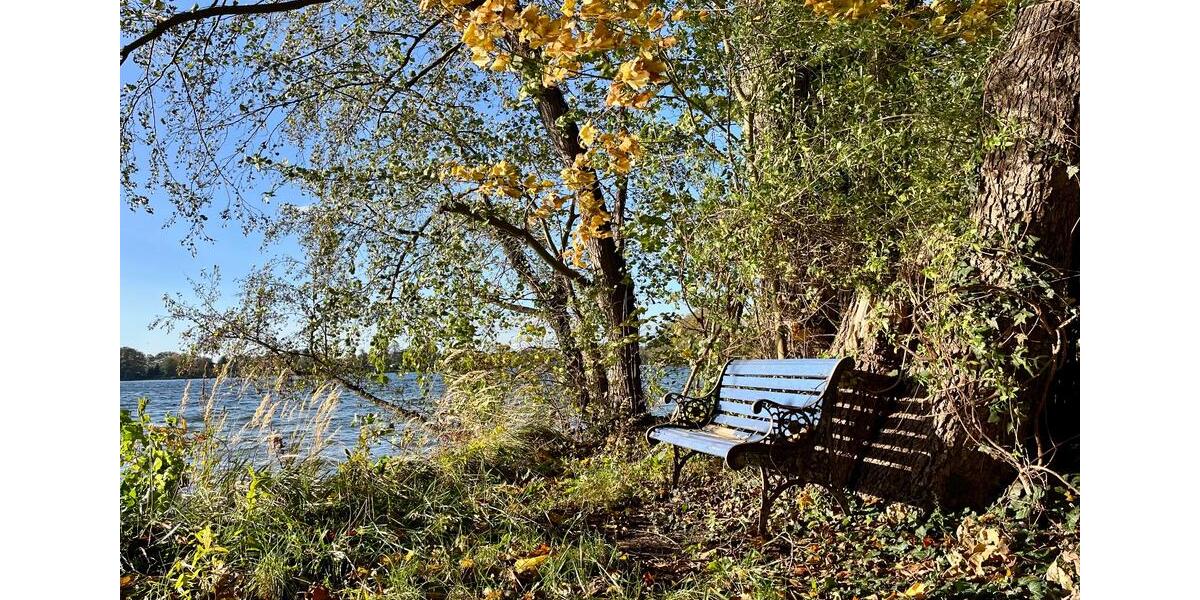 Bungalow Werder (Havel) - 4 Zimmer, 36 m&sup2;, 833&euro; | Angebot:23512562