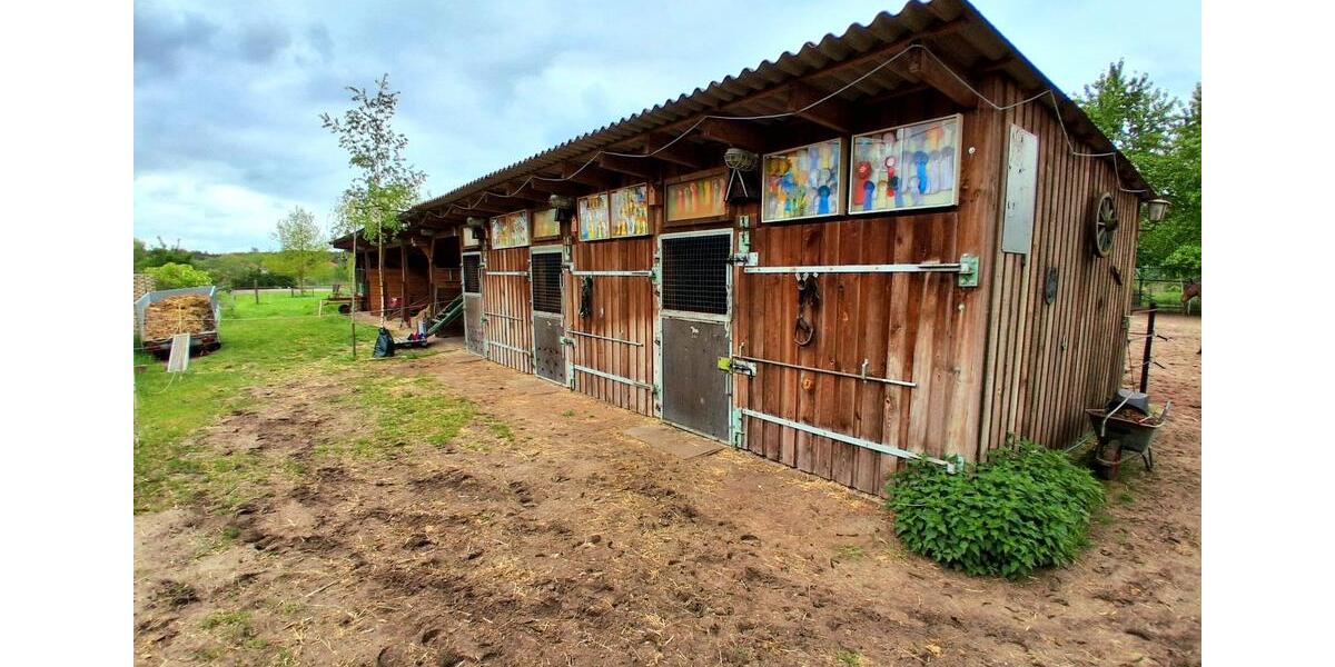 Bauernhaus, Landhaus Kloster Lehnin - 7 Zimmer, 170 m&sup2;, 655.000&euro; | Angebot:26795440
