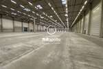 Logistikfläche 19.800 m² zur Miete in Potsdam, 2 km zur A10 - Gewerbeobjekt Potsdam Berlin Süd-West + Speckgürtel - Potsdam (Stadt) | Angebot:27717314