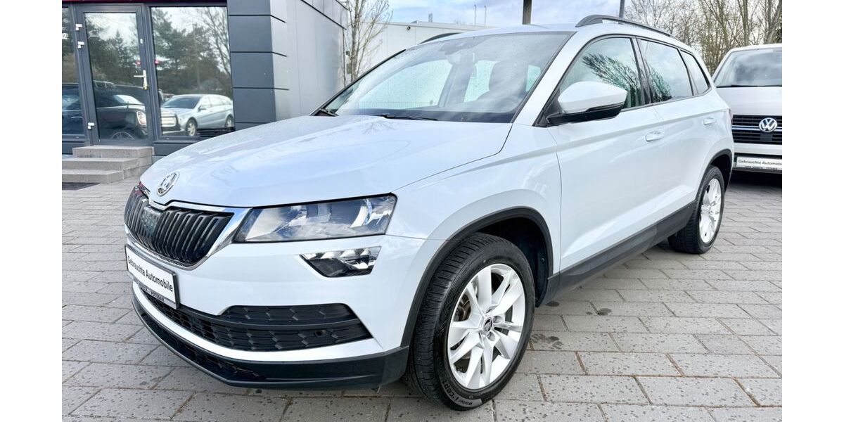 Skoda Karoq 79.999 km 21.999 &euro; Potsdam 14480