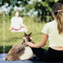 Yoga mit Schafen & Ziegen in der Natur 03.05.2026 Profaris Mensch und Tier