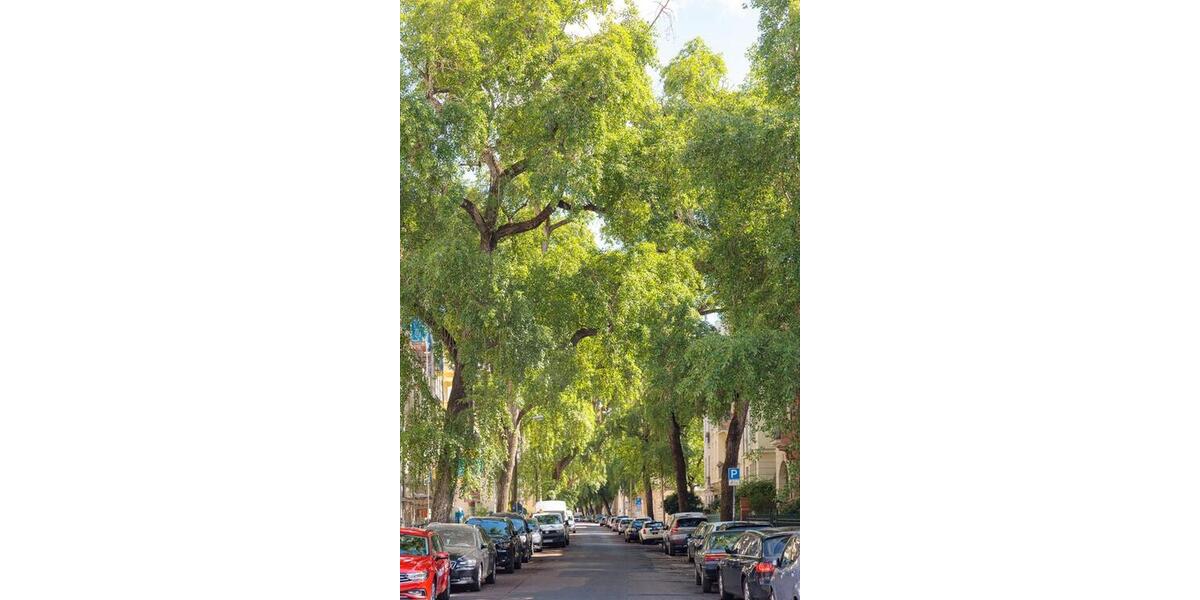 2-Z.WHG mit Balkon & Fahrrädern am Park Sanssouci 2 zimmer