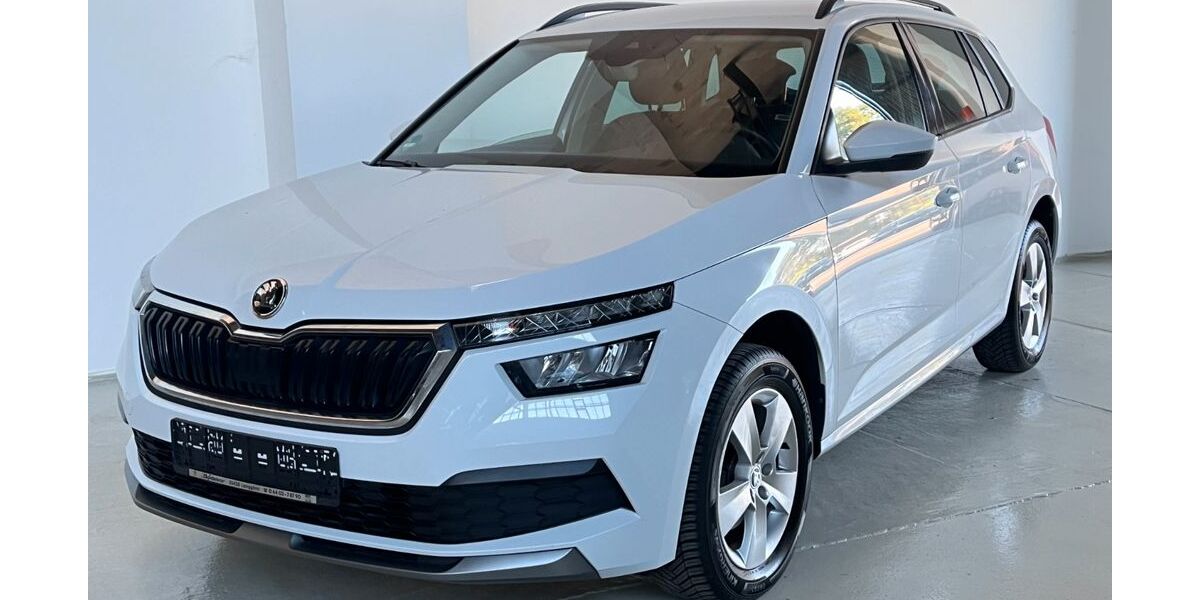 Skoda Kamiq 83.920 km 18.500 &euro; Potsdam-Drewitz b.Berlin 14478