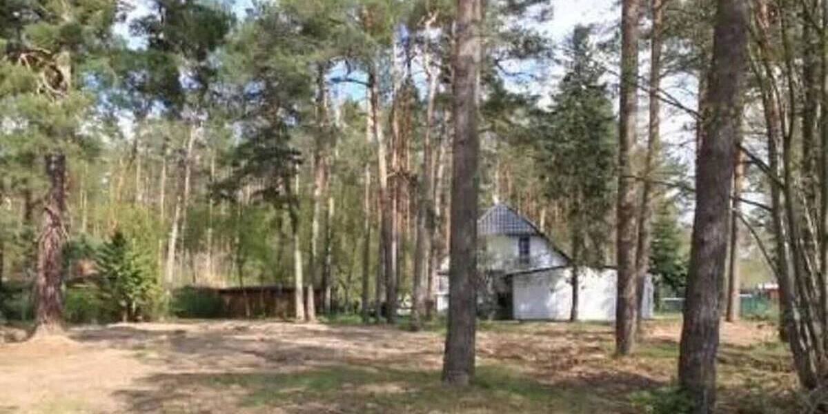 Baugrundstück in Beelitz OT Fichtenwalde VB zimmer