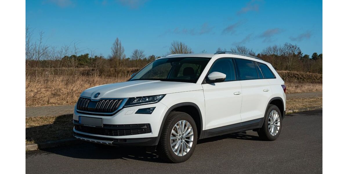 Skoda Kodiaq 177.000 km 17.500 &euro; Ludwigsfelde 14974