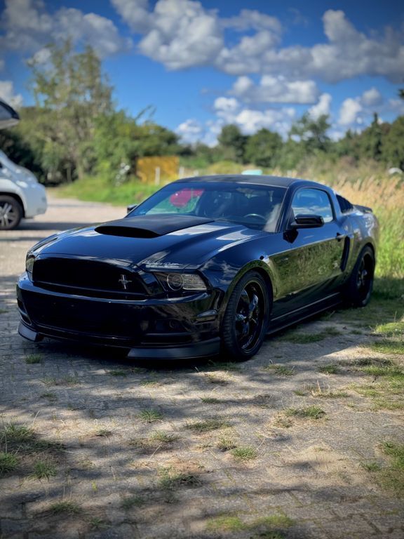 Mustang