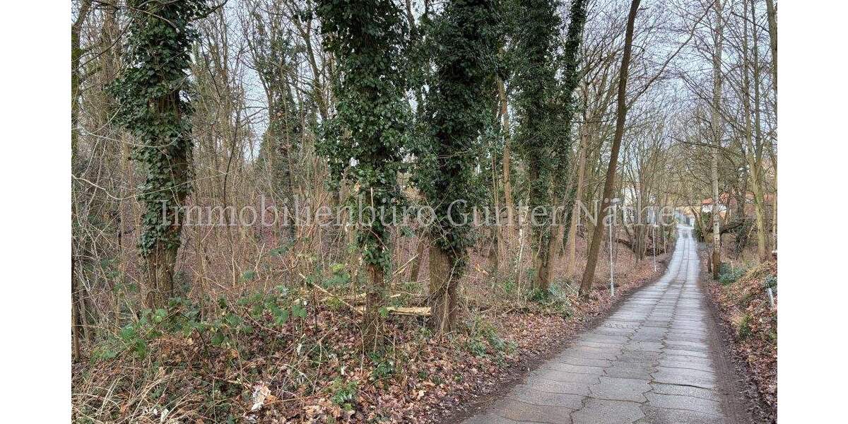 Grundstück Werder (Havel) - 99.000&euro; | Angebot:25895685