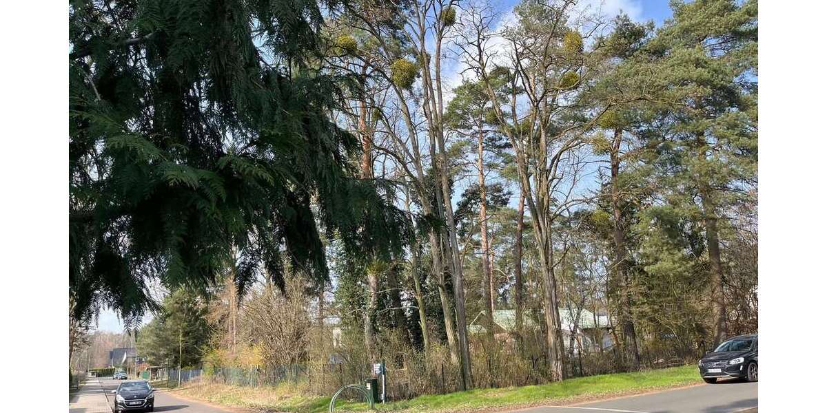 Leerstehendes Reihenendhaus: 100m² groß + ruhig im Grünen gelegen, Falkensee, nahe Potsdam + Berlin 4 zimmer