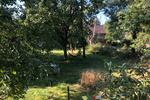Dachgeschoßwohnung Nauen - 3 Zimmer, 73 m&sup2;, 800&euro; | Angebot:26042172