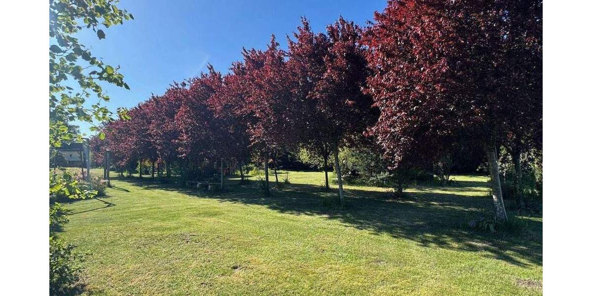 Wohnen, Events, Tagungsräume, Praxis, Gewerbe Hofgut Zernsee-Auen 1 zimmer