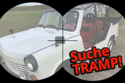 Trabant Andere 123.456 km 1.234 &euro; Berlin 12559