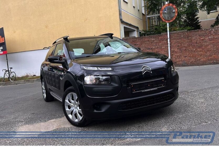 C4 Cactus