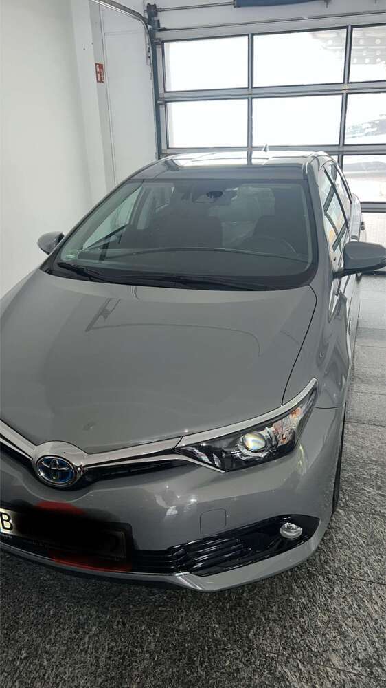 Auris