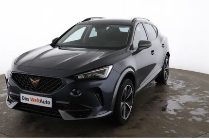 Cupra Formentor 41.118 km 24.830 &euro; Berlin 13089