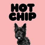 Hot Chip - A Long Way From Kansas