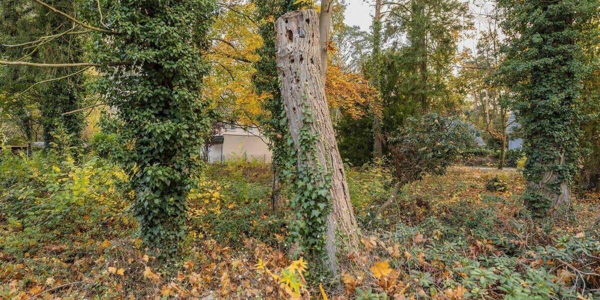 Grundstück Schönwalde-Glien Schönwalde-Siedlung - 295.500&euro; | Angebot:26082570