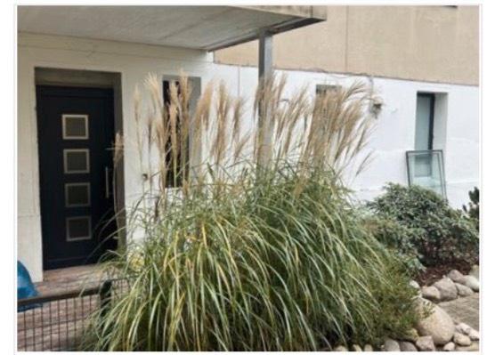 Erdgeschoßwohnung Berlin Reinickendorf - 2 Zimmer, 49 m&sup2;, 1.301&euro; | Angebot:26414368