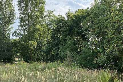 Grundstück Werder OT Phöben Phöben - 272.800&euro; | Angebot:25237485