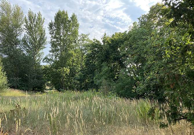 Grundstück Werder OT Phöben Phöben - 272.800&euro; | Angebot:25237485