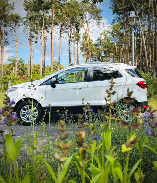 EcoSport