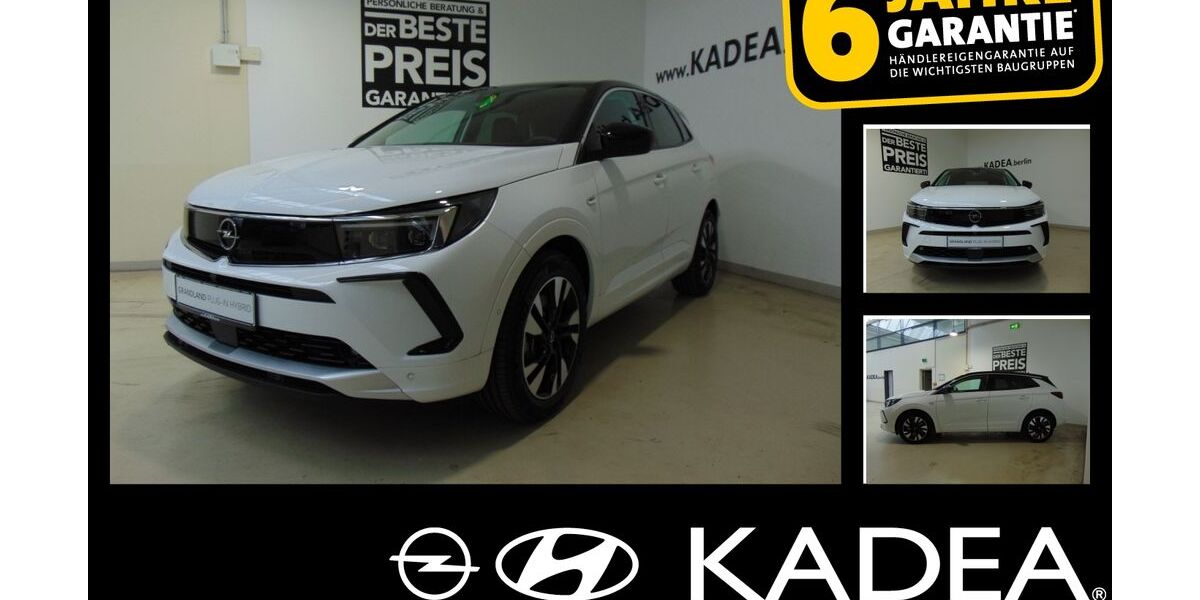 Opel Grandland (X) 3.000 km 36.990 € Berlin Tempelhof 12103