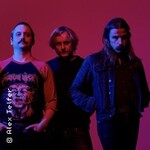 Pigs Pigs Pigs Pigs Pigs Pigs Pigs