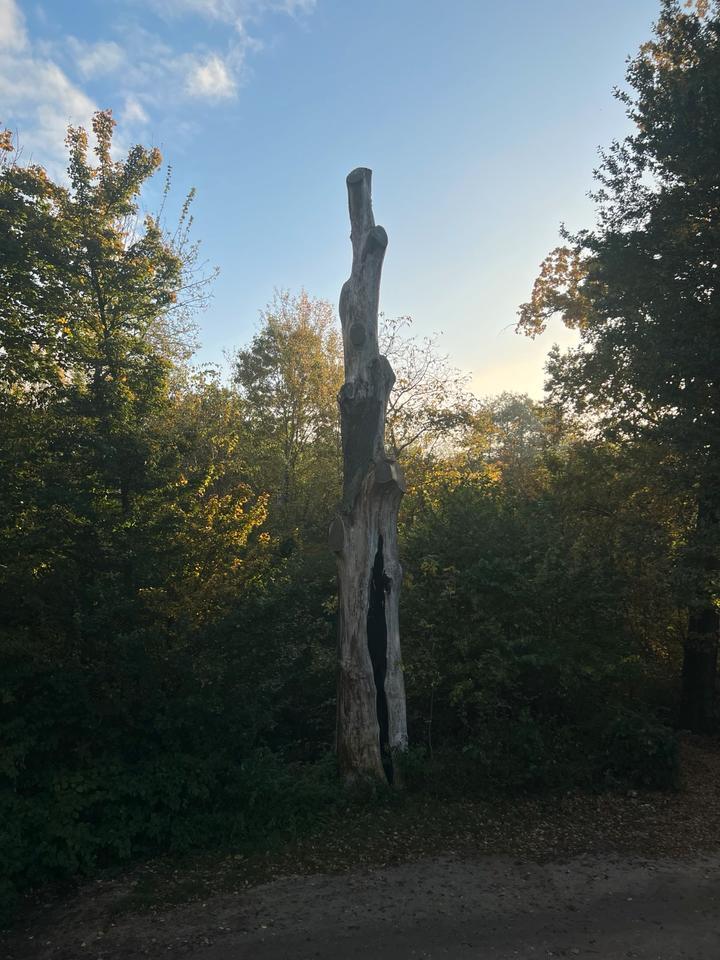 Einfamilienhaus am Naturschutzgebiet