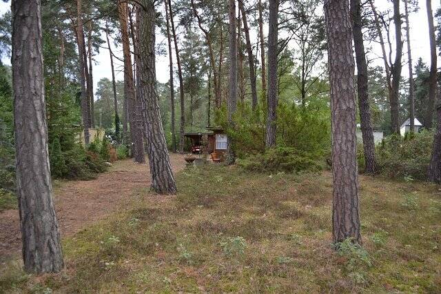 Grundstück Michendorf Niederdorla - 549.000&euro; | Angebot:23972147