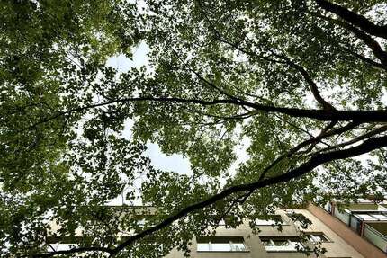Wohnung zum Mieten in Berlin 699 € 26.4 m²
