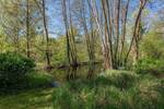 Grundstück Stahnsdorf - 1.800.000&euro; | Angebot:26876682