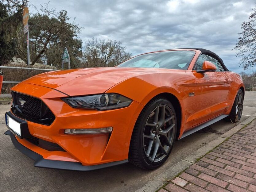 Mustang