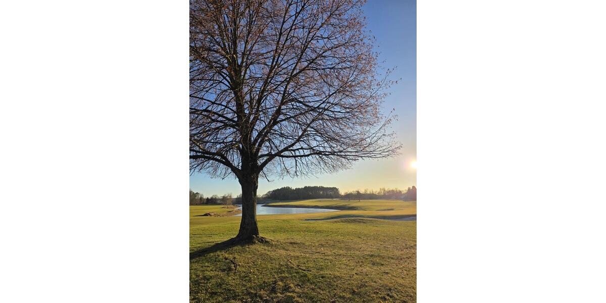 Grundstück Michendorf - 925.000&euro; | Angebot:25175107